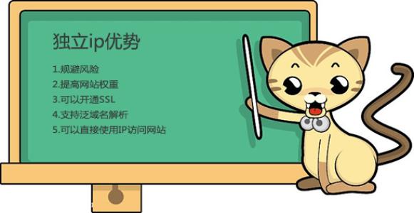 獨立IP主機服務器對優化作用