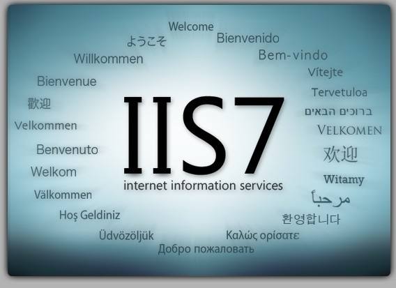 IIS無法啟動的其它解決方案