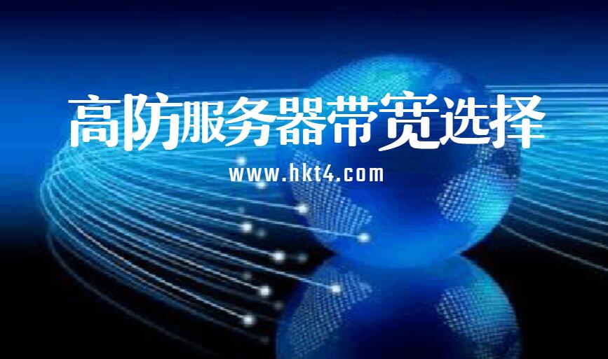 高防服務器10M帶寬