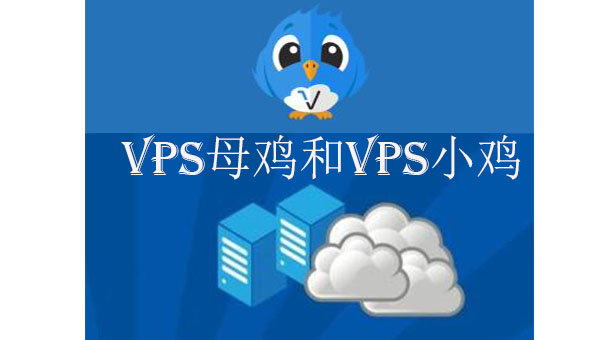 香港vps母雞和小雞