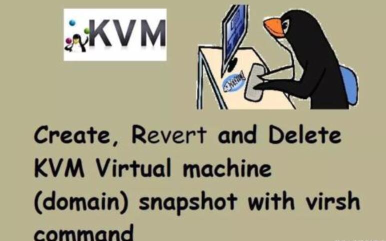 linux虛擬主機