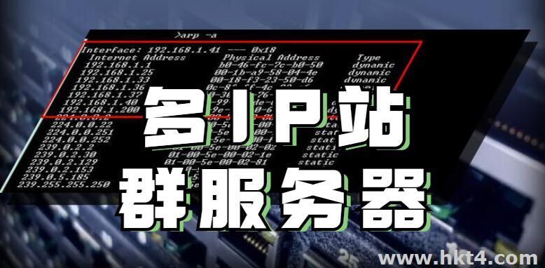 多ip站群服務器