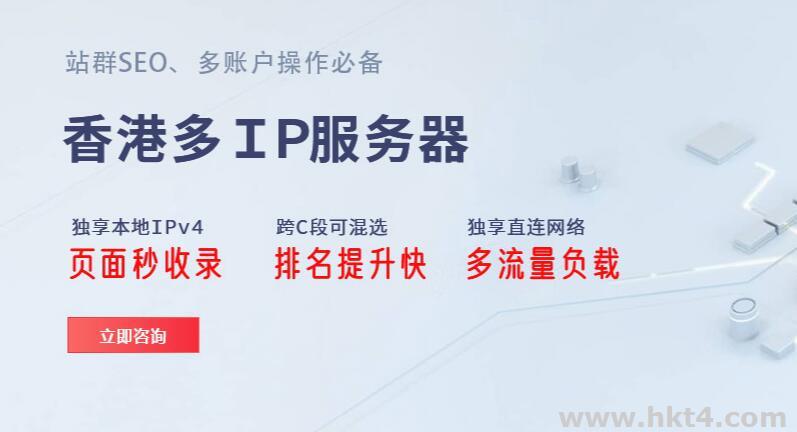 海外站群服務器IP分配