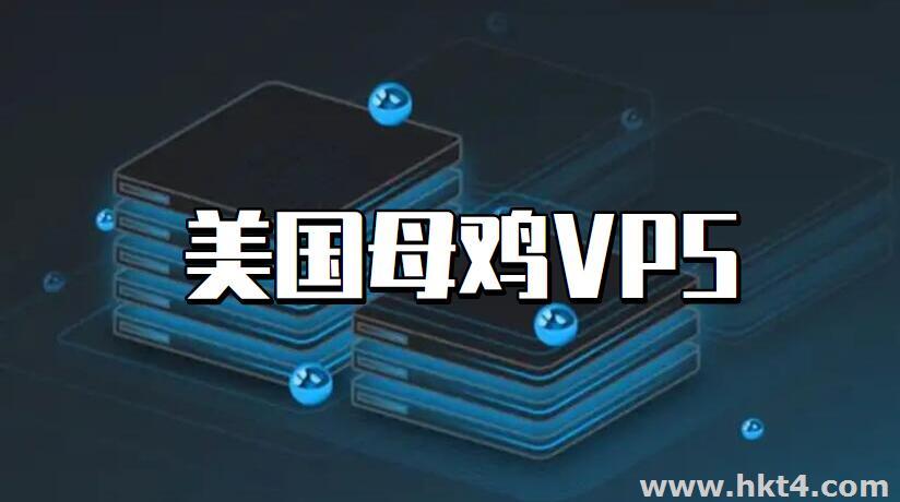 美國vps母雞服務器哪里有？哪家好？