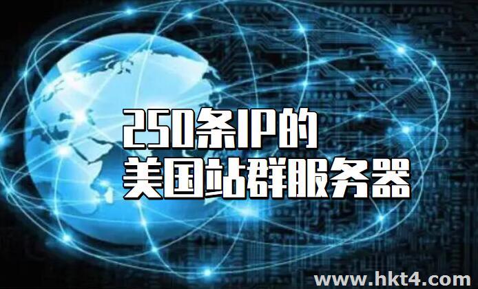 250條IP美國站群服務器