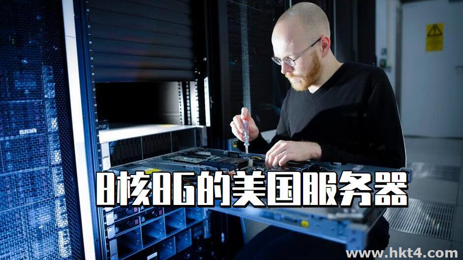 20M帶寬8核8G的美國服務器