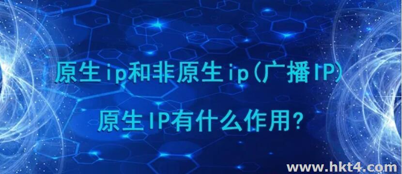 香港服務(wù)器原生ip