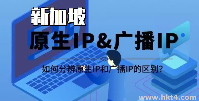 新加坡原生(本地)ip服務器
