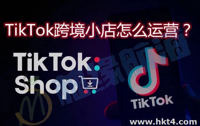tiktok服務器企業識別碼