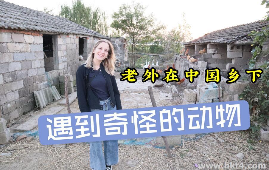 國(guó)外短視頻服務(wù)器