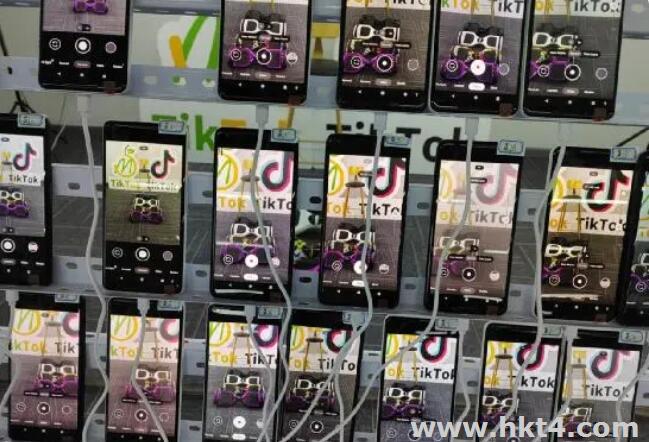 tiktok矩陣站群服務器