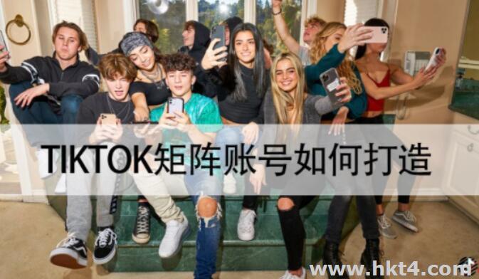 tiktok矩陣站群服務器