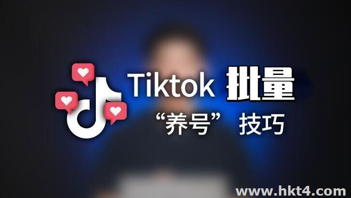 tiktok多ip服務器批量養號