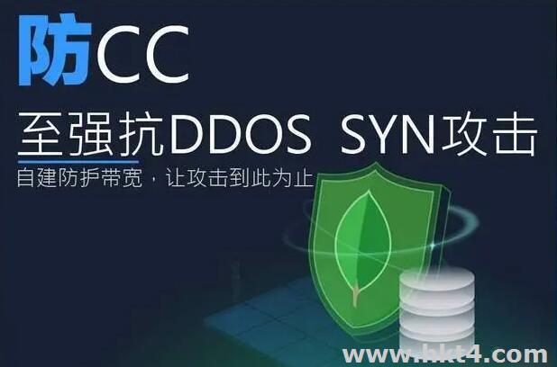 CN2海外站群服務器帶防御