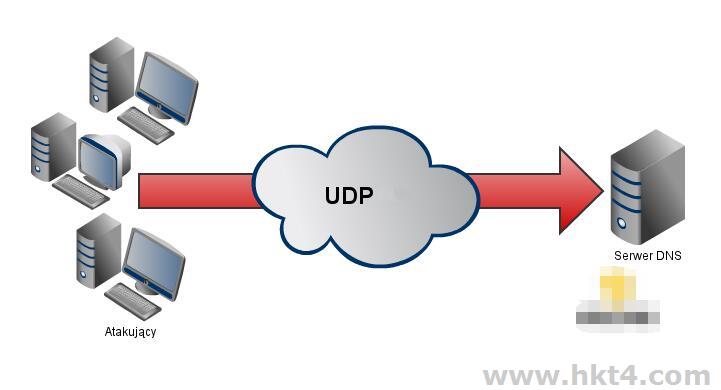 歐洲節點支持UDP