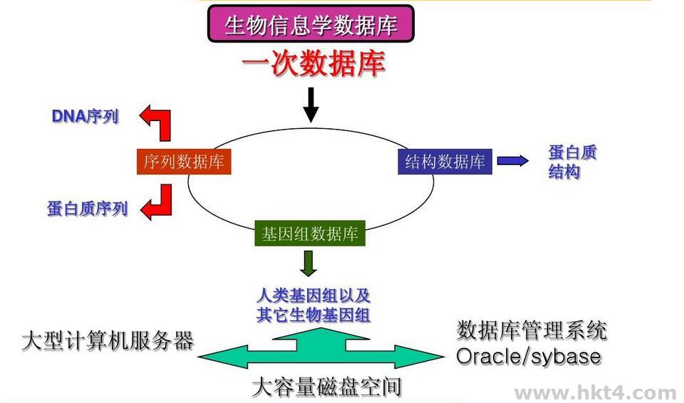 生信分析服務器配置
