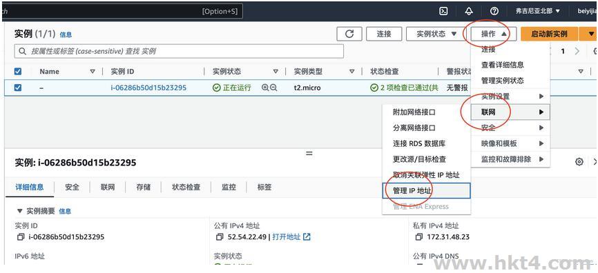 亞馬遜云服務器怎么修改IP
